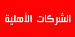 مدير عام بنك التضامن: البنك وفّر التمويل لفائدة 32 شركة أهلية بالشراكة مع وزارة التشغيل والتكوين المهني - جريدة مانشيت