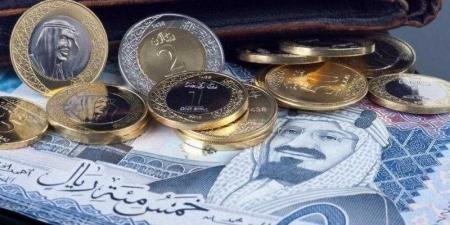 سعر الريال السعودي أمام الجنيه اليوم الثلاثاء