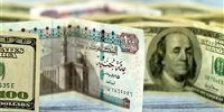 متحدث الحكومة يرد على شائعات تعويم الجنيه: السعر بناء على العرض والطلب