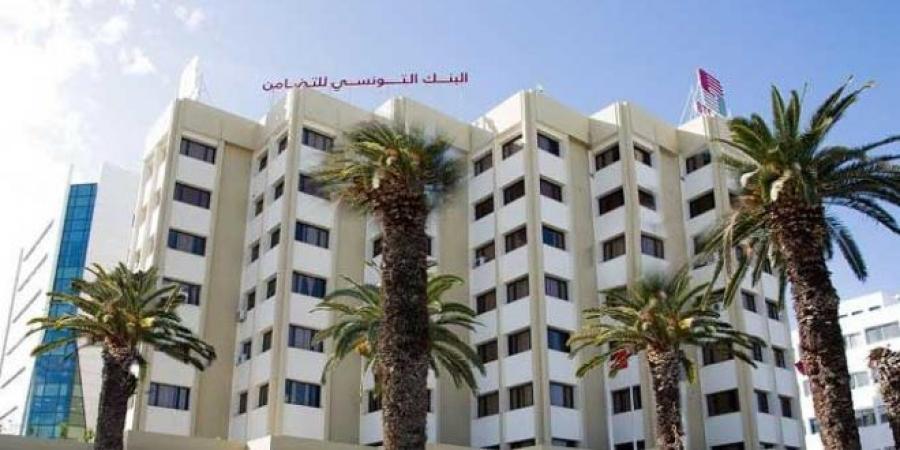 مدير عام بنك التضامن: البنك وفّر التمويل لفائدة 32 شركة أهلية بالشراكة مع وزارة التشغيل والتكوين المهني - جريدة مانشيت