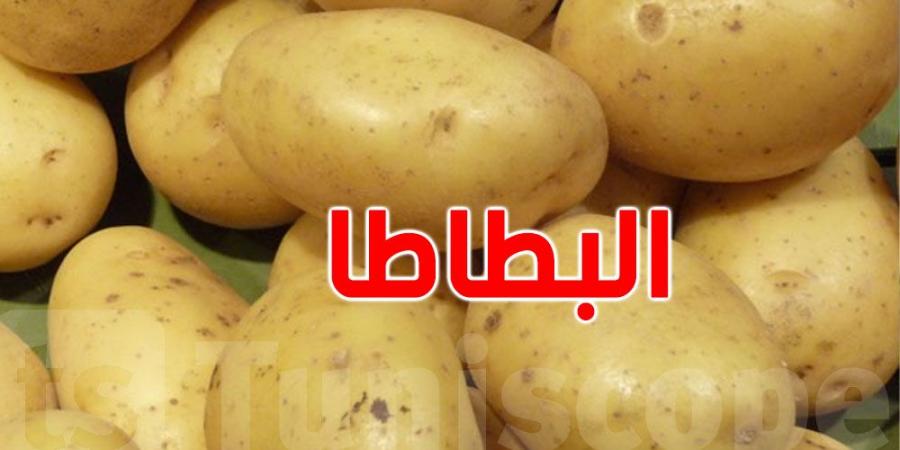 وزير التجارة يُعلّق على نقص البطاطا قي الأسواق - جريدة مانشيت