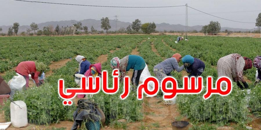 مرسوم رئاسي يعزز حقوق العاملات الفلاحيات بامتيازات ومنافع شاملة - جريدة مانشيت