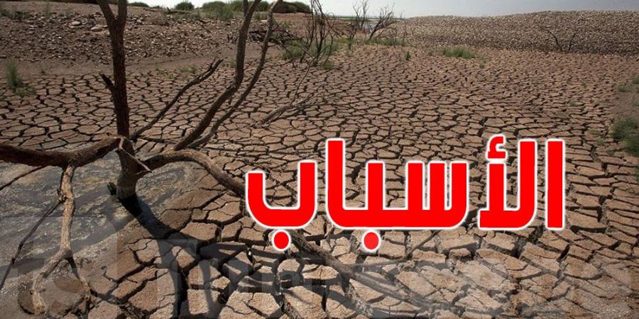 تونس: خبير يدعو الى إعلان حالة الطوارئ المائية - جريدة مانشيت