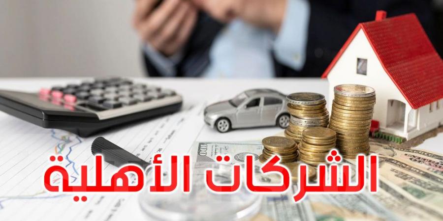 إجراءات جديدة لضمان ديمومة الشركات الأهلية - جريدة مانشيت