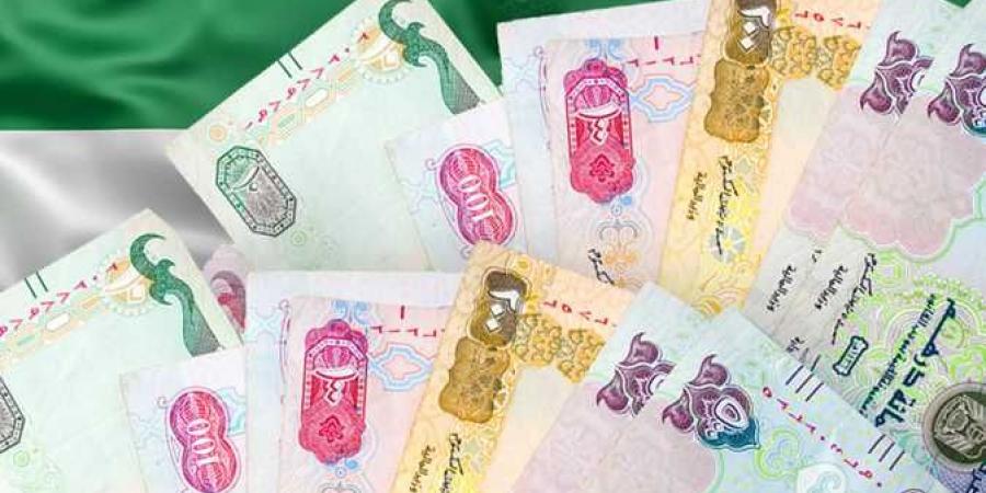 سعر الدرهم الإماراتي اليوم الثلاثاء 29-10-2024 - جريدة مانشيت