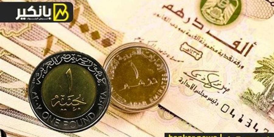 سعر الدرهم الإماراتي أمام الجنيه المصري في تعاملات اليوم الإثنين 4-11-2024