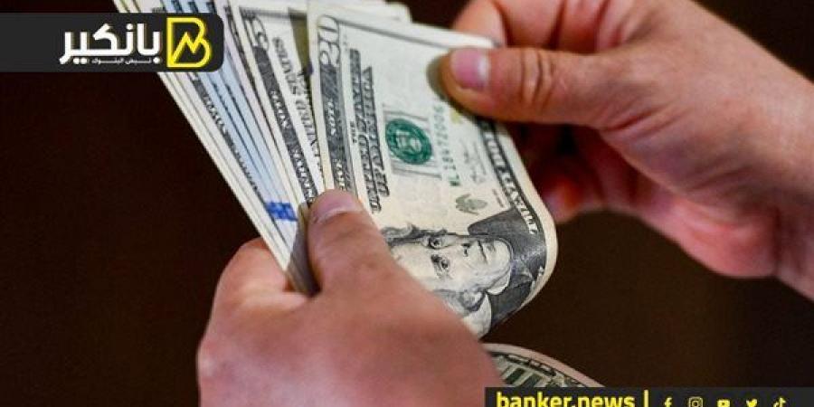 490 مليون دولار في أسبوع.. ليه الحكومة هتستلف من المركزي