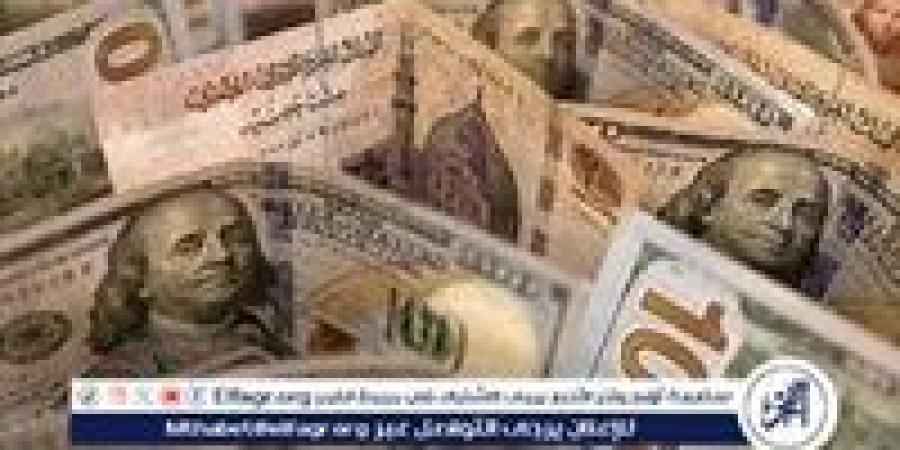 سعر الدولار مقابل الجنيه المصري اليوم الثلاثاء 5 نوفمبر 2024: استقرار ملحوظ مع استمرار الضغوط الاقتصادية