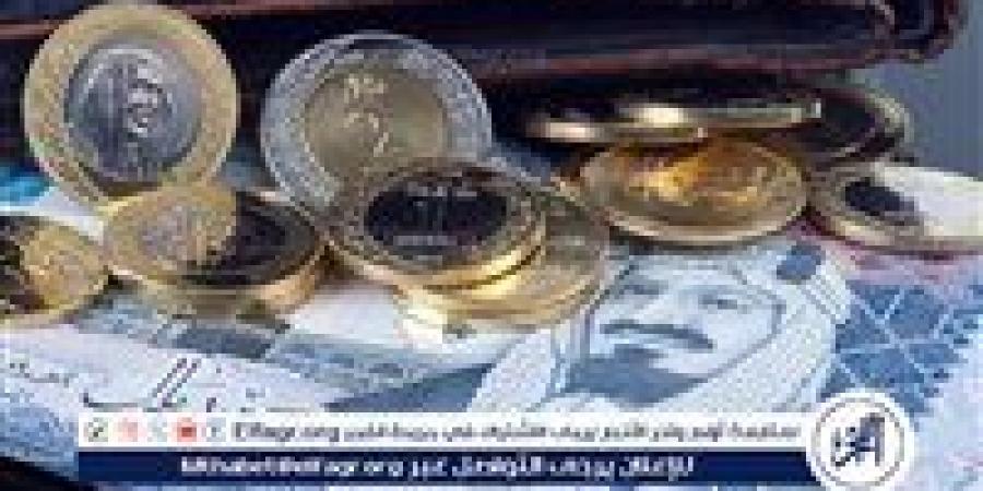 استقرار سعر الريال السعودي أمام الجنيه المصري في تعاملات اليوم: 5 نوفمبر 2024