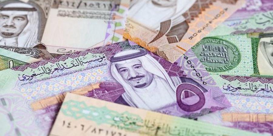 سعر الريال السعودي اليوم الأربعاء 6-11-2024 في البنك المركزي المصري