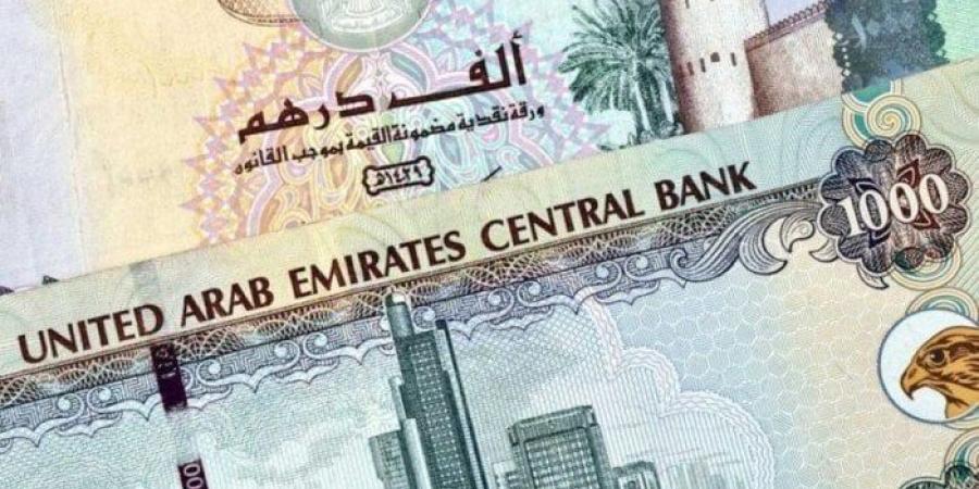 بالبلدي : بكام في البنوك؟.. سعر الدرهم الإماراتي اليوم الأربعاء 6 نوفمبر 2024