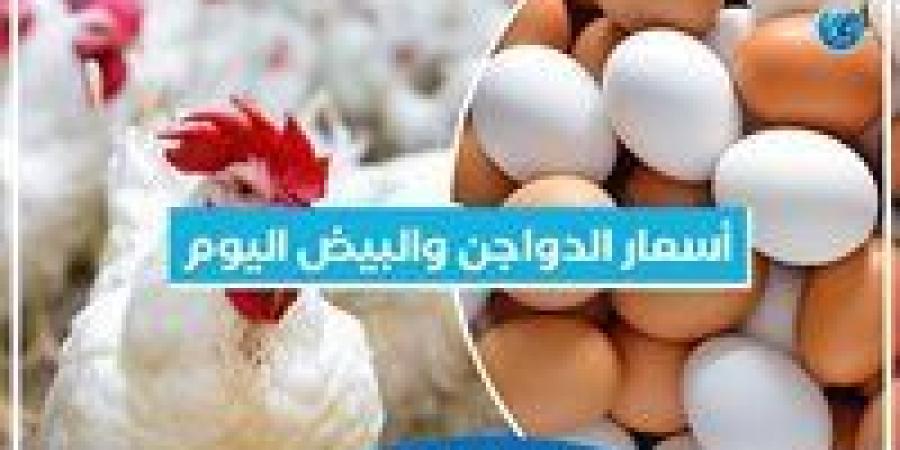 بالبلدي: أسعار الدواجن اليوم الأربعاء 6-11-2024 في الدقهلية