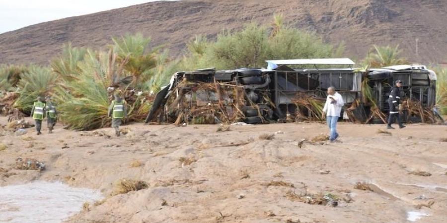 المغرب ومواجهة الكوارث الطبيعية .. من الاستجابة السريعة إلى العدالة المناخية