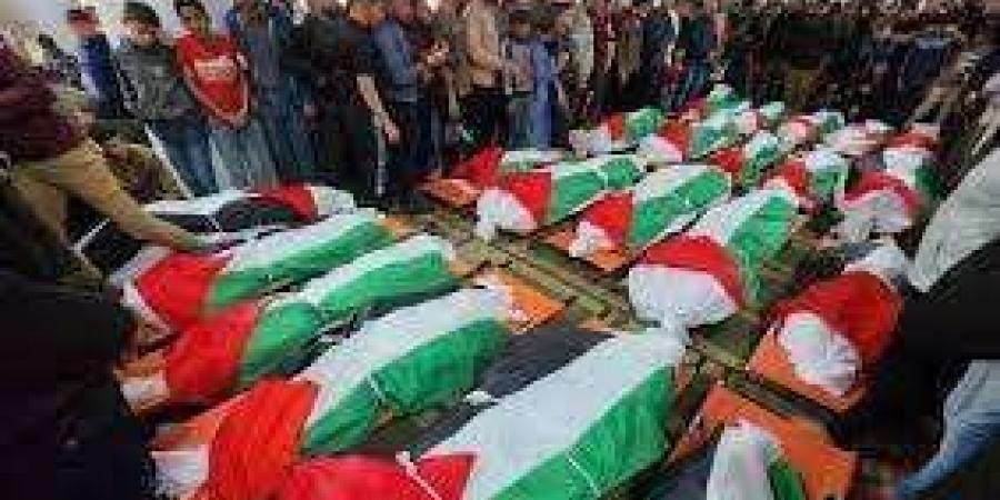 إعلام فلسطيني: استشهاد 17 شخصا في غارات إسرائيلية بخانيونس