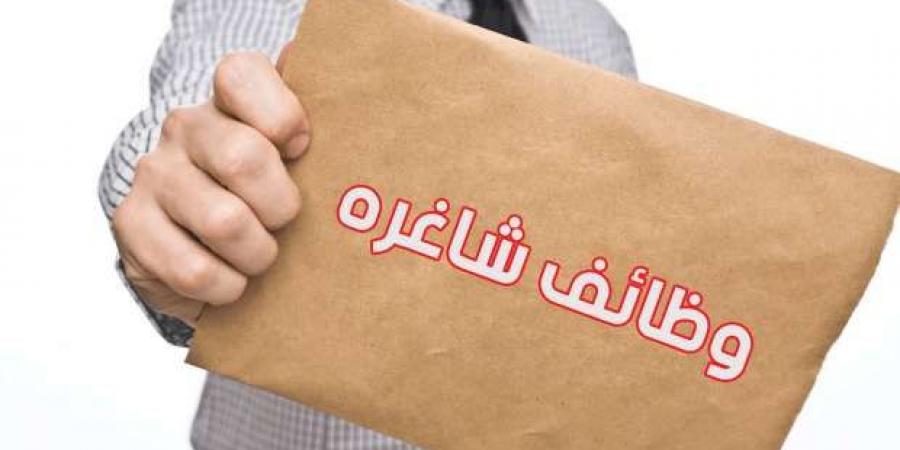 وظائف البنك الأهلي لحديثي التخرج.. اعرف الشروط وطريقة التقديم