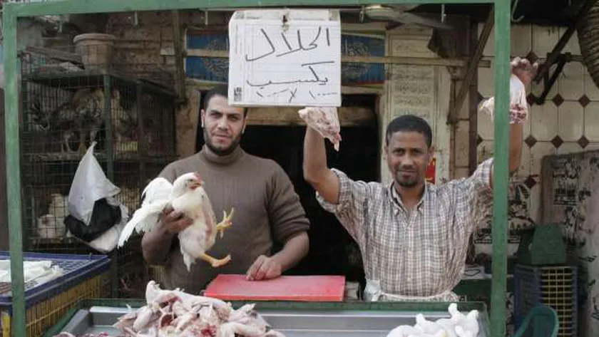 بورصة الدواجن اليوم الفراخ البيضاء الاثنين 11-11-2024 في جميع الشركات في مصر