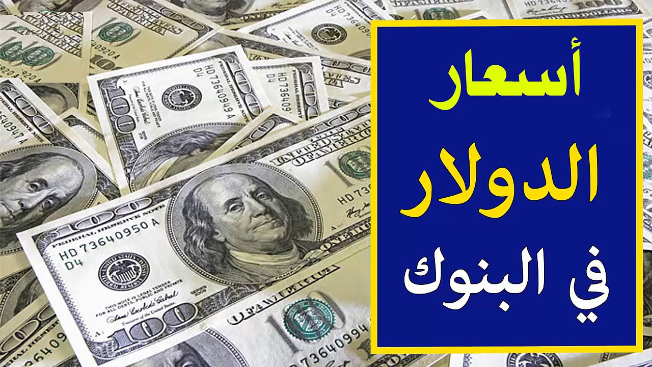 لحظياً.. سعر الدولار اليوم البنك الأهلي الاحد الموافق 2024/11/10 في مختلف البنوك