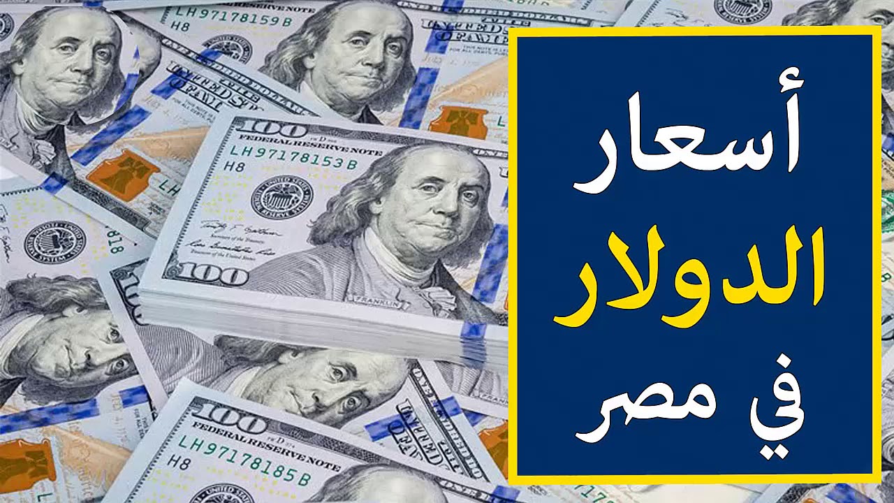 سعر الدولار مقابل الجنيه المصري اليوم الثلاثاء 12 نوفمبر 2024 في مٌختلف البنوك لتعاملات البيع والشراء