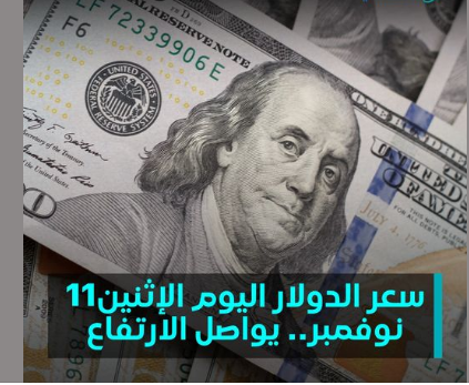 ١٠٠ دولار كم جنيه مصري في البنك؟ |  سعر الدولار اليوم مقابل الجنيه المصري بتاريخ الأثنين 11/ 11