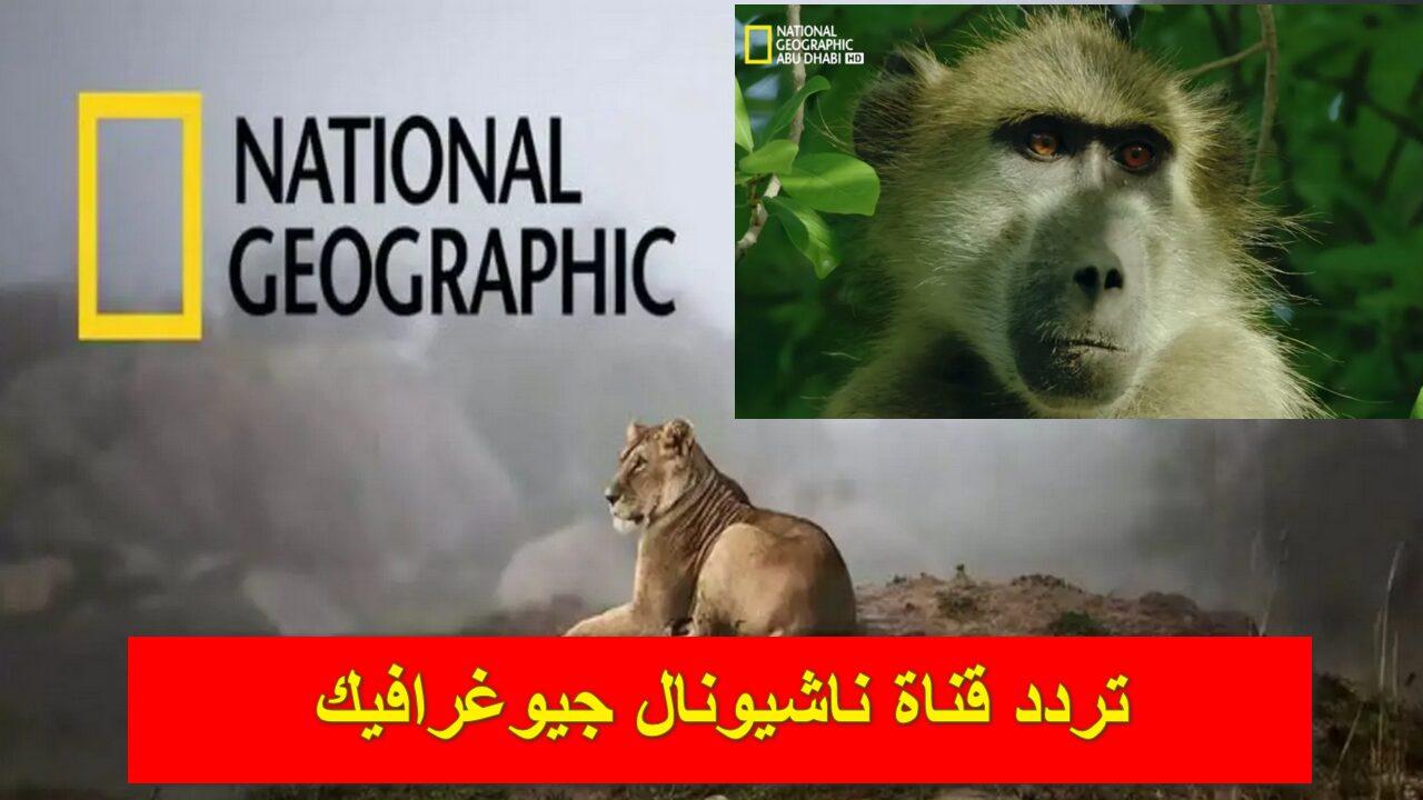 “National Geographic بجودة HD” تردد قناة ناشيونال جيوغرافيك 2024 علي النايل سات والعرب سات