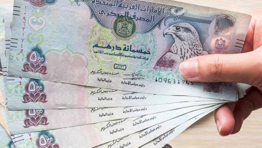 سعر الدرهم الاماراتي مقابل الجنية المصري الأربعاء 13 نوفمبر 2024 في البنوك المُختلفة