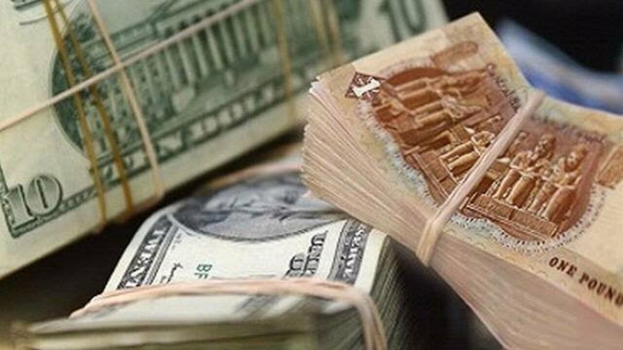 سعر الدولار مقابل الجنية المصري اليوم الإثنين 18 نوفمبر 2024 في البنوك المصرية